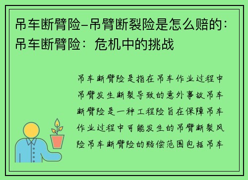 吊车断臂险-吊臂断裂险是怎么赔的：吊车断臂险：危机中的挑战